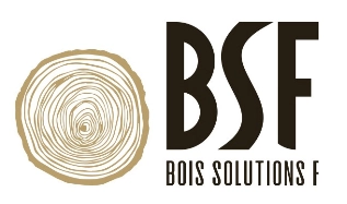 bsf 28 logo